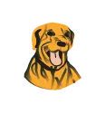 barden-ridgebacks-football-club