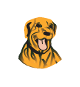 barden-ridgebacks-football-club